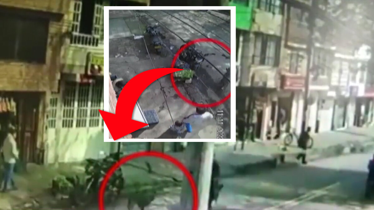 Familia busca al infame motociclista que atropelló a su perrita y no la ayudó Toda una pesadilla está pasando una familia del barrio Torre Molinos, en la localidad de Puente Aranda, pues en medio de un descuido su perrita llamada Zoe fue atropellada por un motociclista que iba aparentemente con exceso de velocidad.