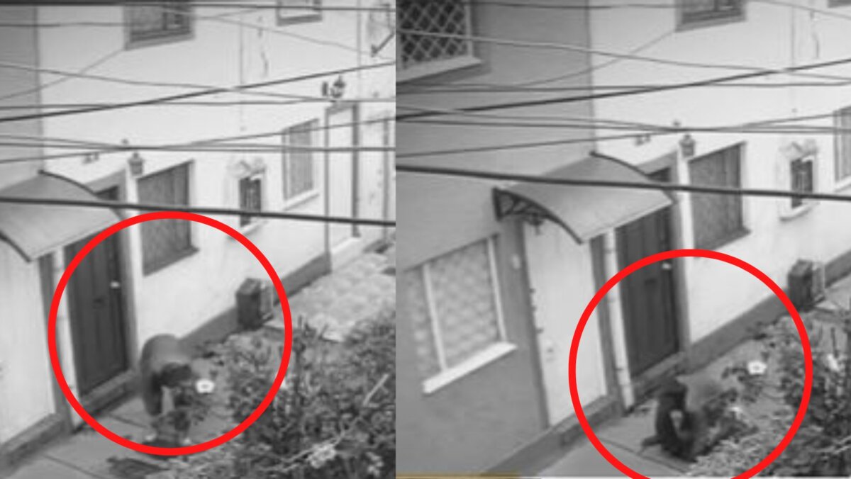 Inseguridad en Bogotá: pillos se roban los contadores en San Cristóbal 1 Inseguridad en Bogotá: pillos se roban los contadores en San Cristóbal La inseguridad de Bogotá es cada vez peor y los pillos continúan haciendo de las suyas, especialmente en sur de la ciudad. Esta vez se empezaron a registrar nuevos robos de contadores de agua en la localidad de San Cristóbal.