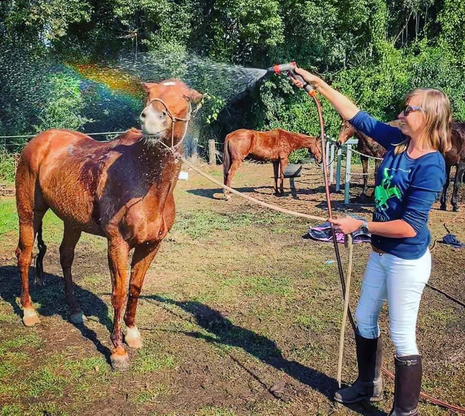 Mujer entrega su vida a salvar animales destinados al matadero 1 Mujer entrega su vida a salvar animales destinados al matadero Cada día son más personas las que luchan por el respeto de la vida de los animales, tal es el caso de una mujer en Australia que decidió abandonar su trabajo en la ciudad para dedicarse de lleno a salvar vidas de animales que estaban condenados al matadero.