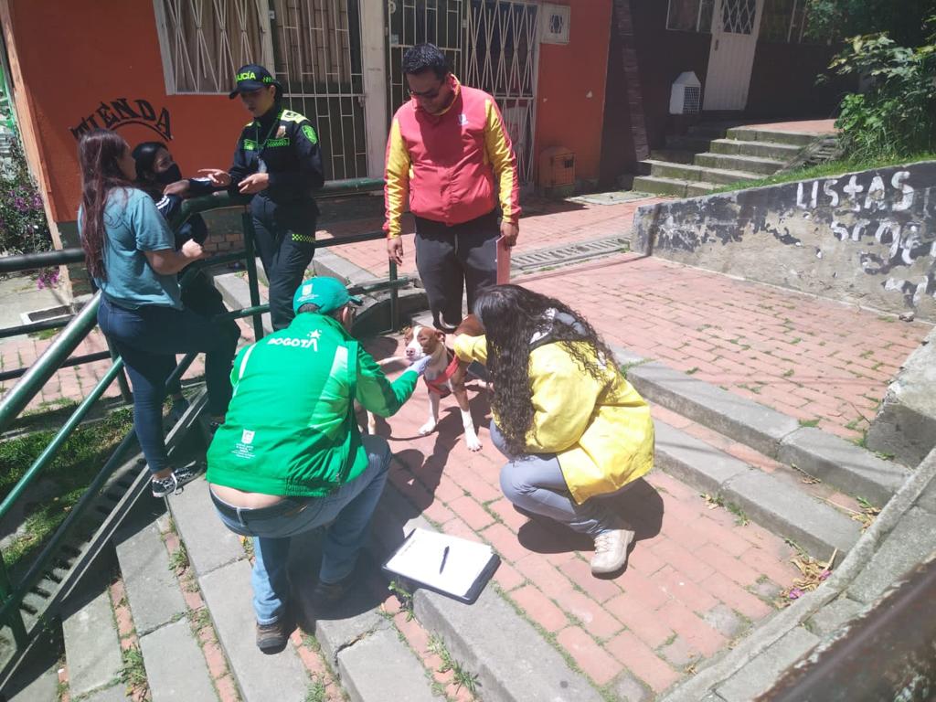 Policía rescató a dos perritos que eran terriblemente maltratos Un terrible caso de maltrato animal fue alertado por las autoridades, quienes llegaron hasta el barrio Serranías, localidad de Usme, para rescatar a dos perritos que estaban en mal estado.