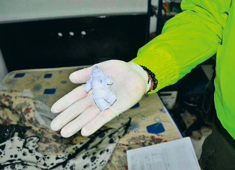 Tras la pista del sacrificio de Maximiliano En los últimos días el país fue testigo de los macabros hechos en los que la propia familia de Maximiliano Tabares, de 6 años, lo sacrificó en Segovia (Antioquia) para encontrar una supuesta mina de oro. Pero, ¿en realidad esto fue ejecutado por una secta satánica?&nbsp;