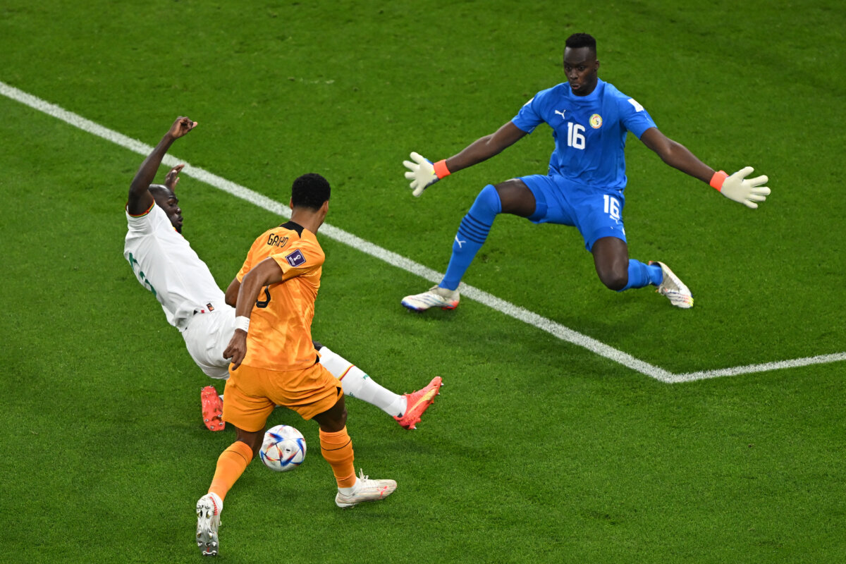 Apretando de todo, Países Bajos derrotó a Senegal en el Mundial Gakpo de Países Bajos marcó el primer tanto del partido frente a Senegal