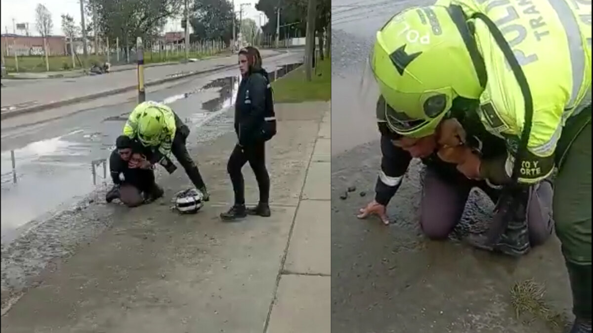 ¿Abuso de autoridad? Graban a policía ahorcando a conductor del Sitp En video quedó cuando un agente de tránsito inmovilizó con una llave en el cuello a un conductor de Sitp, al parecer porque no tenía papeles. El violento policía colocó toda su fuerza, cuando el hombre le pedía que se detuviera. &nbsp;