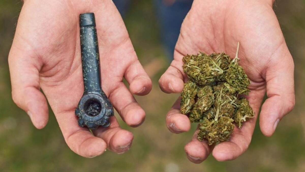 Cada vez está más cerca la regulación de la marihuana recreativa en el país 4 Cada vez está más cerca la regulación de la marihuana recreativa en el país Con una mayoría justa y con voces en contra de sectores del uribismo y del conservatismo, la Plenaria del Senado acaba de aprobar en cuarto debate el acto legislativo que permite la venta de manera abierta de la marihuana en el país.