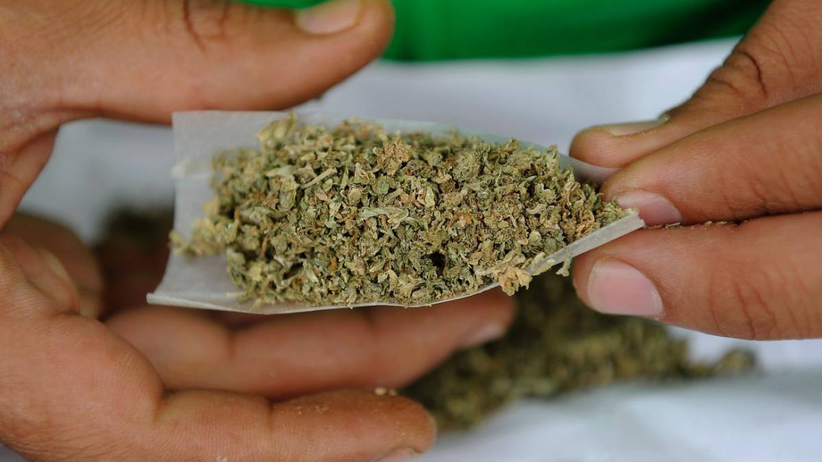 Cada vez está más cerca la regulación de la marihuana recreativa en el país 1 Cada vez está más cerca la regulación de la marihuana recreativa en el país Con una mayoría justa y con voces en contra de sectores del uribismo y del conservatismo, la Plenaria del Senado acaba de aprobar en cuarto debate el acto legislativo que permite la venta de manera abierta de la marihuana en el país.