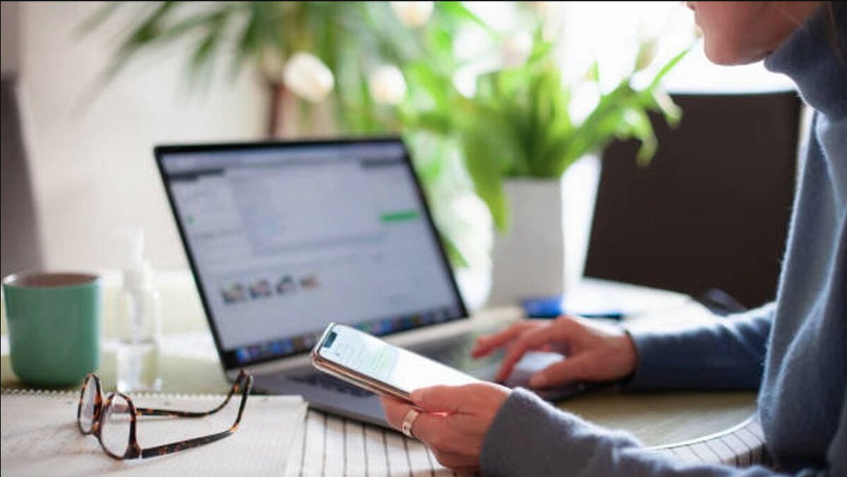 Camello sí hay: multinacional europea busca talento colombiano Arranque el 2023 con camello, pues una de las empresas más grandes de tecnología y software llegó al país para buscar talento colombiano, para desarrollador software.