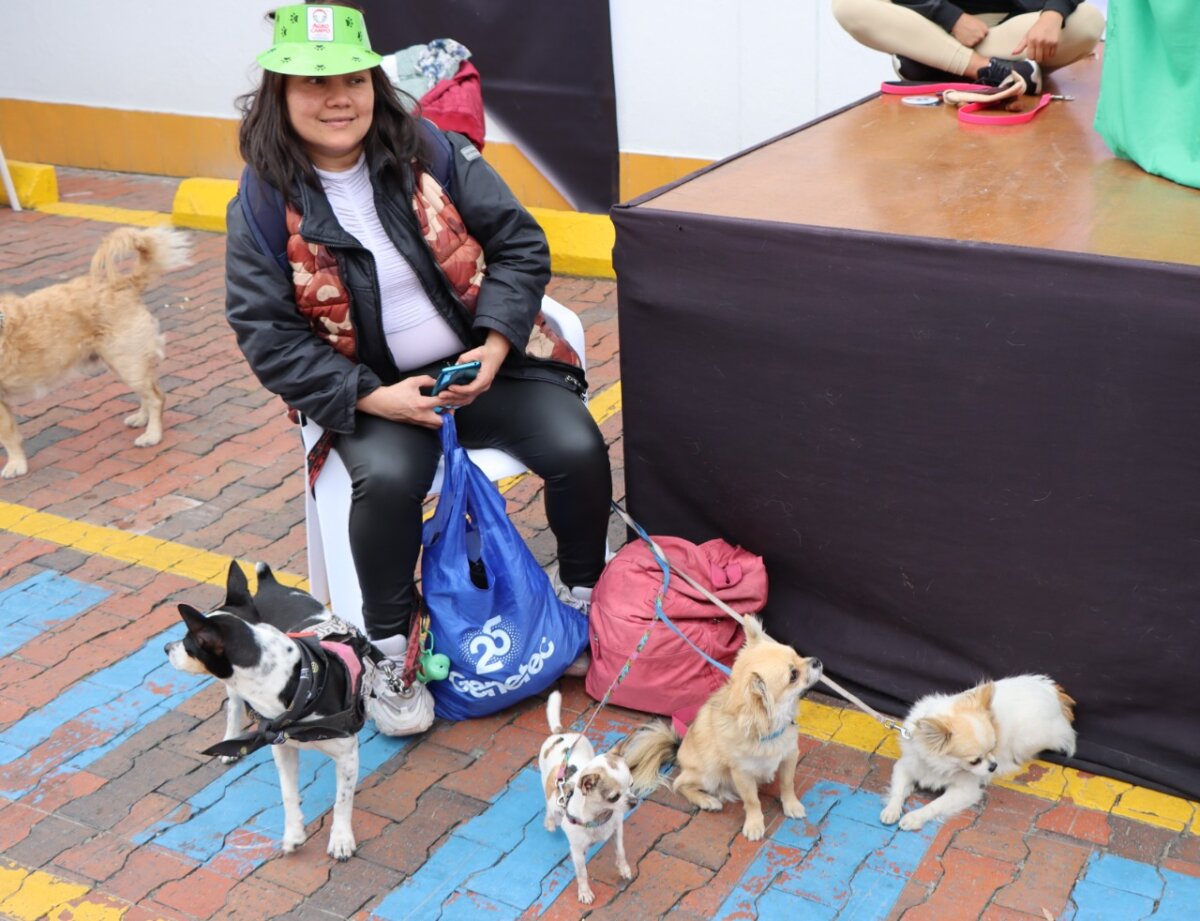 ¡Qué ternura! Cientos de mascotas participaron en la carrera 'Gua' de Bogotá 1 ¡Qué ternura! Cientos de mascotas participaron en la carrera 'Gua' de Bogotá Más de 300 personas acompañadas de sus mascotas estuvieron en la carrera más ´Gua´ de Bogotá, competencia que fue transformada en un juego y sonrisas para los cientos de asistentes.