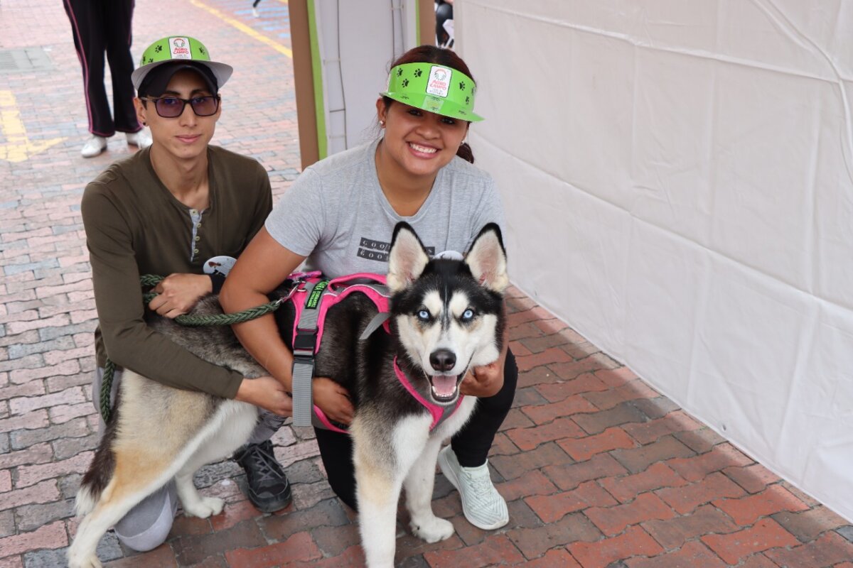 ¡Qué ternura! Cientos de mascotas participaron en la carrera 'Gua' de Bogotá 2 ¡Qué ternura! Cientos de mascotas participaron en la carrera 'Gua' de Bogotá Más de 300 personas acompañadas de sus mascotas estuvieron en la carrera más ´Gua´ de Bogotá, competencia que fue transformada en un juego y sonrisas para los cientos de asistentes.