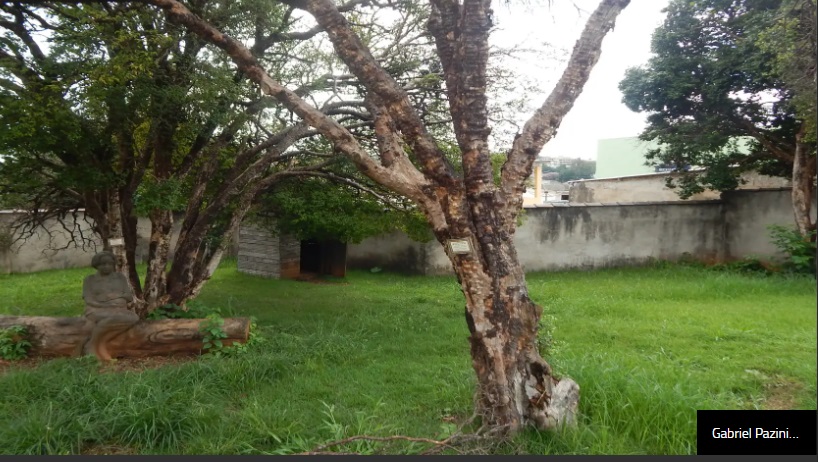 EN FOTOS: La casa en la que nació Edson Arantes do Nascimento El astro de la historia del fútbol, Edson Arantes do Nascimento, Pelé, tejió un brillante carrera en el deporte universal. Con luz propia el fútbol lo sacó de las canchas de tierra en su natal Tres Coraçoes, un pequeño municipio brasileño ubicado en el estado de Minas Gerais. Allí se conserva algo del hogar donde nació.
