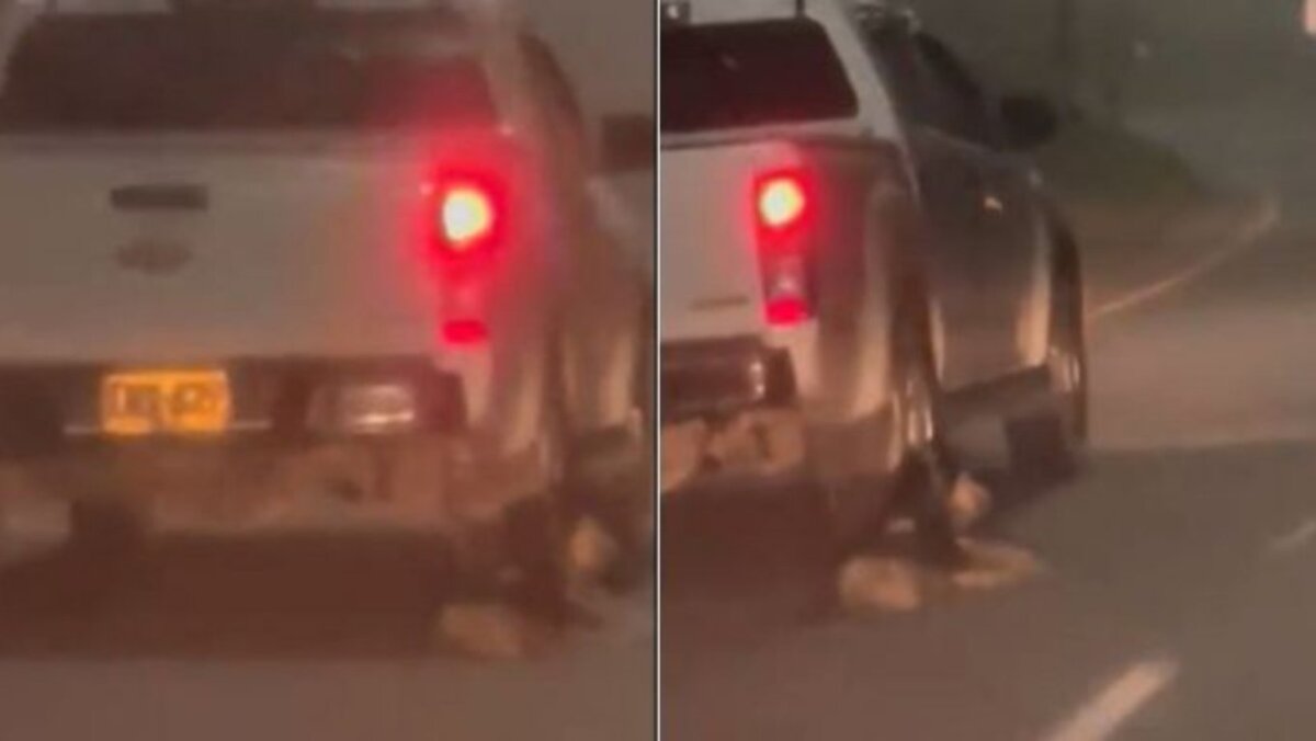 Infame conductor que arrastró a un perrito en plena autopista se entregó a la Policía 1 Infame conductor que arrastró a un perrito en plena autopista se entregó a la Policía En la mañana de este domingo, 18 de diciembre, en de redes sociales comenzó a circular un video que evidencia otro caso de maltrato animal con un perrito.