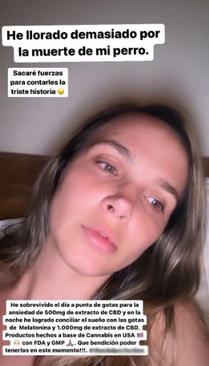Para superar la muerte de su perro, Elizabeth Loaiza confesó que recurrió al cannabis 1 Para superar la muerte de su perro, Elizabeth Loaiza confesó que recurrió al cannabis La modelo Elizabeth Loaiza luego de confesar que se le había muerto su mascota, reveló por medio de sus redes sociales que la pérdida le ha dado muy duro y que estaba pasando por momentos muy difíciles.