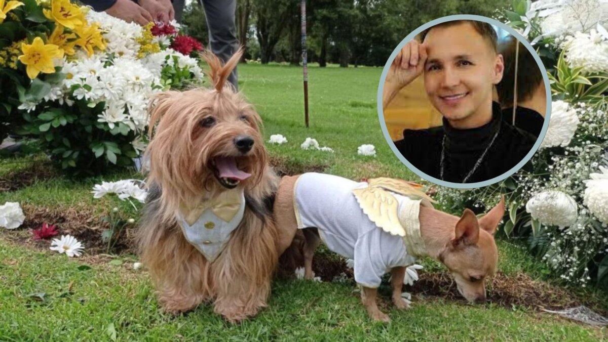 Los perritos de Mauricio Leal lo visitaron en su tumba y así reaccionaron Al cumplirse un año de la muerte de Mauricio Leal se llevó a cabo una ceremonia en donde los protagonistas fueron sus mascotas.