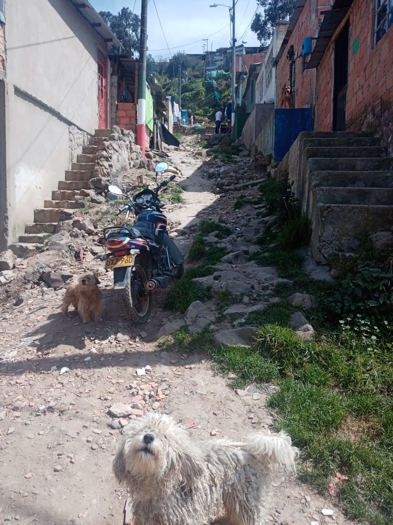 Homicidio de José Albeiro en Casa Loma Fin de semana violento en el municipio de Soacha. La tarde de este domingo, en la parte alta del sector de Casa Loma, al parecer en medio de una riña suscitada por hechos de intolerancia, un hombre de 35 años falleció luego de recibir varios disparos propinados por un sujeto que llegó hasta donde la víctima departía con otras personas.