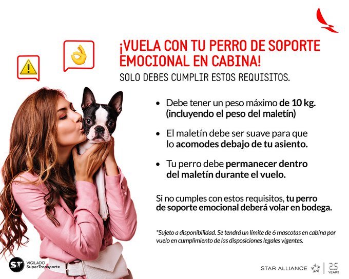 ¡Pilas! Avianca anunció cambios en políticas sobre transporte de mascotas 1 ¡Pilas! Avianca anunció cambios en políticas sobre transporte de mascotas Si le gusta viajar con sus peluditos, tenga presente que Avianca anunció nuevos cambios que tendrán en la política para viajar con mascotas de apoyo emocional.