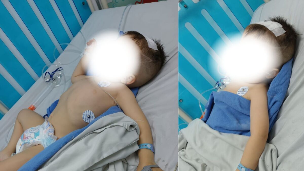 Capturaron al infame que golpeó con un ladrillo a un niño de 2 años en Bosa 1 Capturaron al infame que golpeó con un ladrillo a un niño de 2 años en Bosa Este viernes las autoridades capturaron a un sujeto que le lanzó un ladrillo en la cabeza a un niño de solo 2 años de edad en la localidad de Bosa.