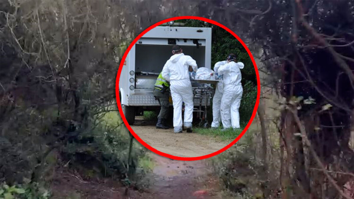 Encuentran muerto en Ciudad Bolívar a menor desaparecido No hay palabras que puedan calmar el dolor&nbsp; que ronda entre los familiares y allegados de un pelado de tan solo 17 años que en horas de la tarde del miércoles fue encontrado en una zona boscosa de la vía Quiba en Ciudad Bolívar.&nbsp;