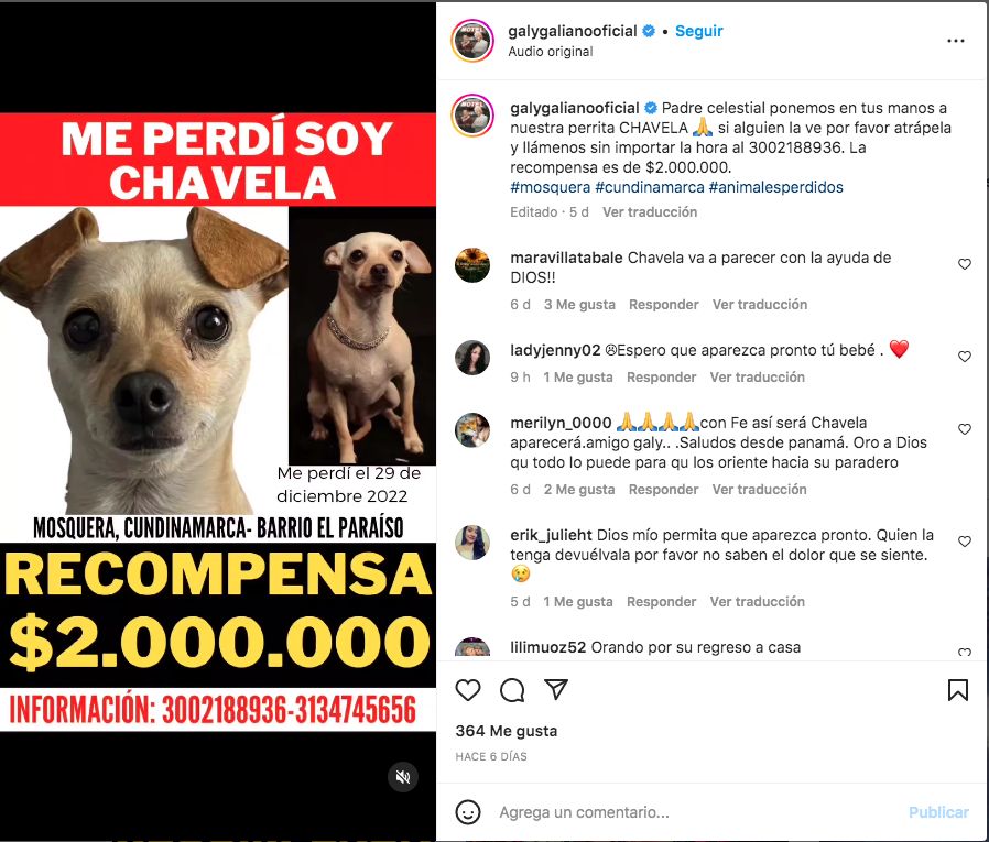 Galy Galiano ofrece buen billete: está desesperado buscando a su perrita El cantante Galy Galiano está desesperado por encontrar a su perrita 'Chavela', quien lleva más de 13 días perdida. El artista, por medio de sus redes sociales, indicó que su mascota se extravió el pasado 29 de diciembre de 2022 en el barrio El Paraíso de Mosquera (Cundinamarca) y por eso ofrece una recompensa a quien se la entregue sana y salva.