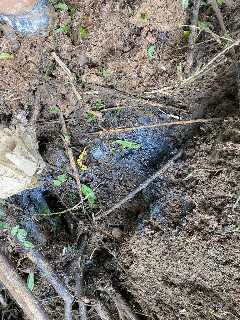 Hallan explosivos cerca a la casa de la vicepresidenta Francia Márquez La vicepresidenta de Colombia, Francia Márquez, denunció que hallaron material explosivo con el que se pretendía atentar contra su vida cerca de su casa en Suárez, Cauca.