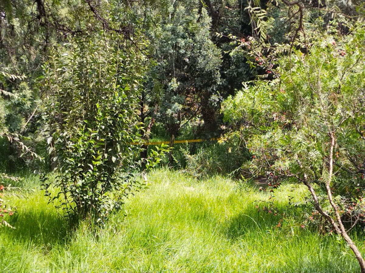 Tunjuelito: Apareció otro cuerpo en el Río Tunjuelo Luego de que en nuestra edición impresa del domingo 16 de enero se reportó el hallazgo de un cuerpo en la localidad de Tunjuelito, lo que parecía ser noticia vieja resultó ser un nuevo caso.