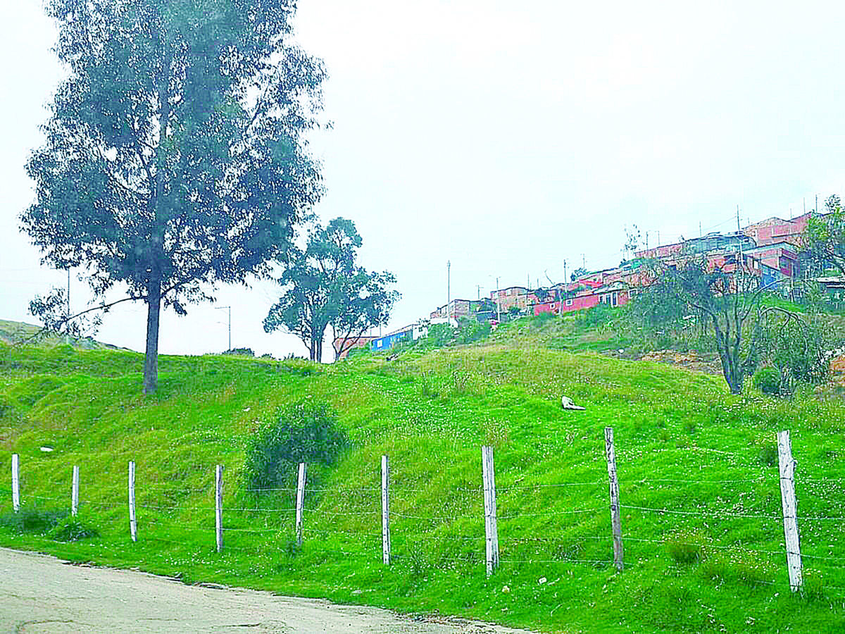 A puñal terminaron con la vida de un joven en invasión de Ciudad Bolívar El joven perdió la vida en zona boscosa de la invasión Bella Flor, en la localidad de Ciudad Bolívar, tras recibir una herida con arma blanca en el cuello.
