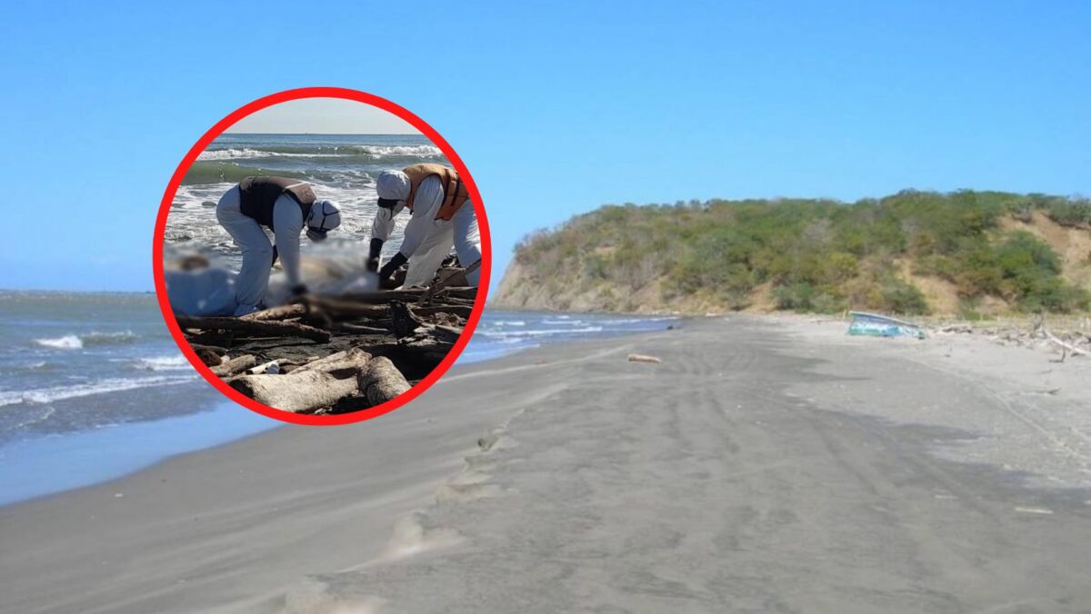 Tragedia en playa de Tubará: sacerdote murió ahogado El sacerdote Luis Javier Palacios Palacio fue arrastrado por la corriente hacia el fondo del mar cuando se bañaba en las playas de la Urbanización Playa Linda, en el sector ‘Los Cocos’, del corregimiento de Playa Mendoza, jurisdicción del municipio de Tubará, Atlántico.