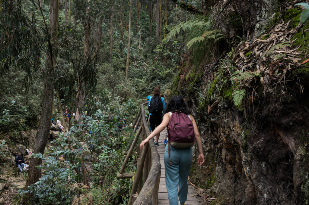 ¡Ojo! Desde hoy cierran los senderos de los cerros orientales para hacer caminatas La Empresa de Acueducto y Alcantarillado de Bogotá (EAAB) informó que desde este domingo 22 de enero los senderos administrados por la entidad permanecerán cerrados.