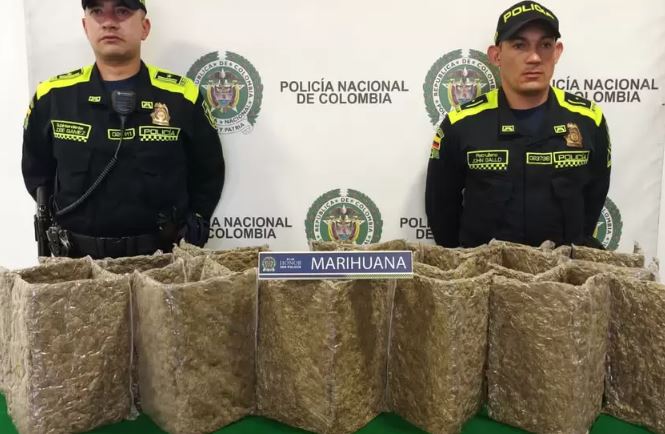 Incautan más de 12 mil gramos de marihuana en el Aeropuerto El Dorado 1 Incautan más de 12 mil gramos de marihuana en el Aeropuerto El Dorado Las autoridades informaron que hicieron una importante incautación de droga en el Aeropuerto Internacional el Dorado. Según los uniformados se incautó 12.665 gramos de marihuana que pretendían ser enviados a través del modelo de mensajería.