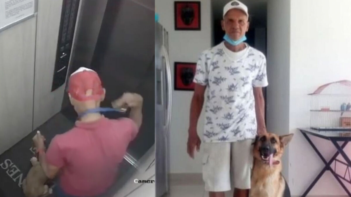 ¡Infame! Paseador canino fue captado golpeando a un perrito  En redes ha causado indagación el video en que un hombre que supuestamente se hace pasar por un paseador canino golpea brutalmente a un pequeño cachorro dentro de un ascensor&nbsp;antes de sacarlo a caminar.