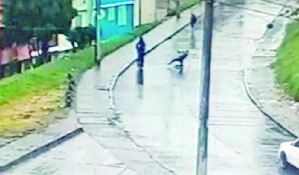 Vil ataque a un menor por un taladro en San Cristóbal 1 Vil ataque a un menor por un taladro en San Cristóbal Sucedió el pasado sábado 18 de febrero en la localidad de San Cristóbal, exactamente en el sector de Altos del Poblado.