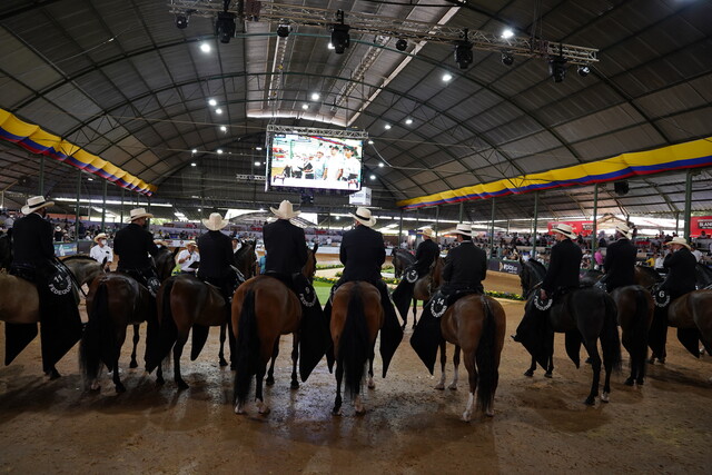 La feria nacional equina abre sus puertas este jueves 1 La feria nacional equina abre sus puertas este jueves Desde este jueves corferias abre sus puertas a la feria equina hasta el próximo12 de febrero.