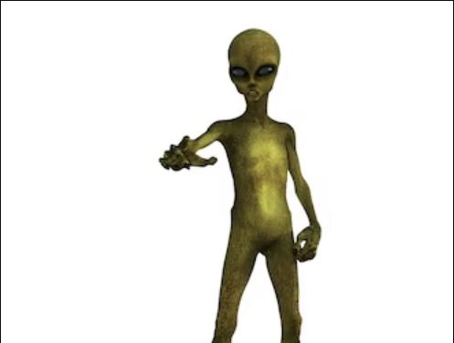 Las razas de extraterrestres más conocidas Durante décadas la humanidad se ha encargado de estudiar los distintos tipos de vida en otros planetas, y aunque no hay estudios concluyentes que demuestran la existencia de extraterrestres, exagentes de los servicios de inteligencia de Estados Unidos afirman que han detectado, por lo menos, 12 razas de seres de otro planeta.