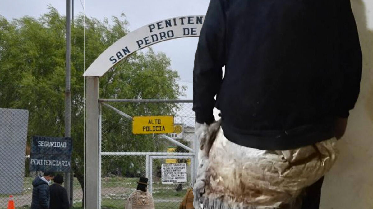EN FOTOS: ¿Muy creativo o muy tonto? Intentó escapar de la cárcel vestido de oveja ¡Qué biblia! Un hombre que se encontraba pagando una condena en un centro penitenciario, se disfrazó de oveja para intentar escapar.