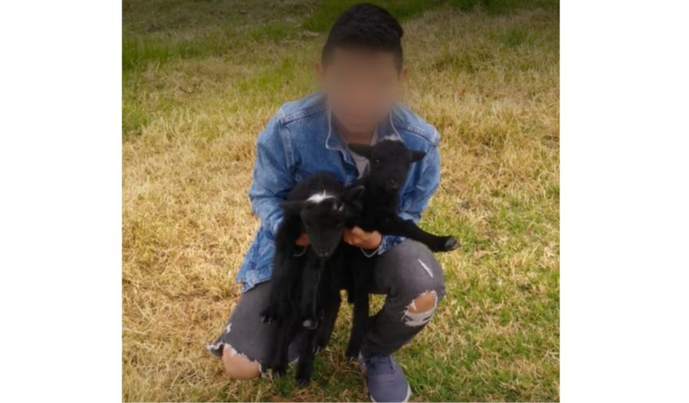 Menor fue apuñalado por robarle el celular en Usme 1 Menor fue apuñalado por robarle el celular en Usme La delincuencia en Bogotá atormenta a una familia en Usme, luego de que un niño fuera víctima de delincuentes que por robarle el celular, lo apuñalaron dejándolo gravemente herido.