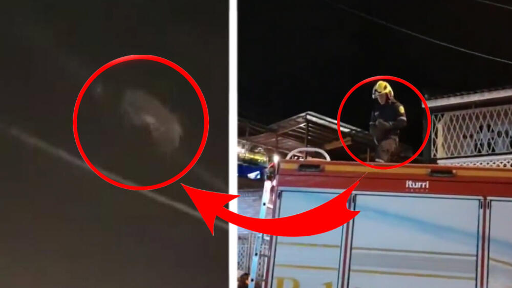 Video: Un mico travieso alborotó Granada Moradores del barrio Granada se sorprendieron al encontrar a un mono balanceándose en los cables del sector, los bomberos lo rescataron.