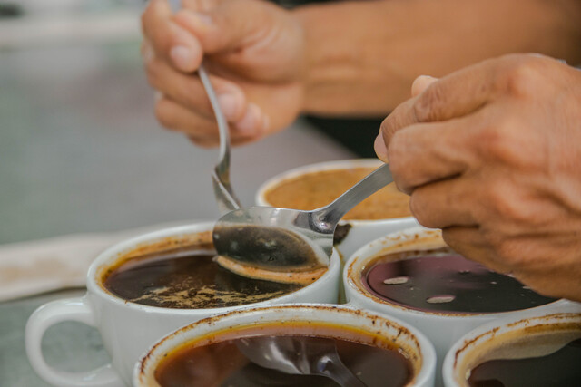 Pilas con tomar tanto café al día, podría afectarle la presión arterial 1 Pilas con tomar tanto café al día, podría afectarle la presión arterial Las personas que toman dos o tres tazas de café al día tienen la tensión arterial más baja que las que beben sólo una taza o ninguna