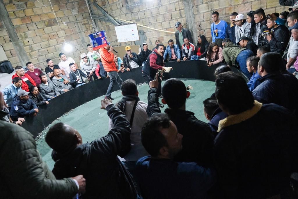 Duro golpe al crimen: autoridades capturaron a 13 personas en Ciudad Bolívar 2 Duro golpe al crimen: autoridades capturaron a 13 personas en Ciudad Bolívar La inseguridad en Bogotá sigue siendo un dolor de cabeza para los ciudadanos, por eso, como estrategia para combatirla, las autoridades junto a la Alcaldía instauraron Comandos Nocturnos que dejó 13 personas capturadas.