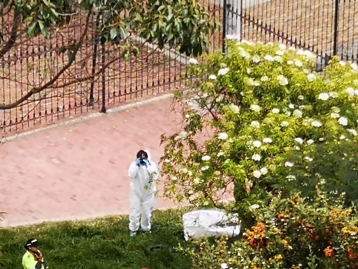 Macabro hallazgo cerca a un colegio de Ciudad Bolívar Hay preocupación entre la comunidad y las autoridades de Ciudad Bolívar por la gran cantidad de homicidios que se han presentado en los últimos días, cerca de la madrugada del sábado se registró la muerte de tres jóvenes, dos de 15 años y uno de 20 tras ser baleados en el sector de Arborizadora Alta.