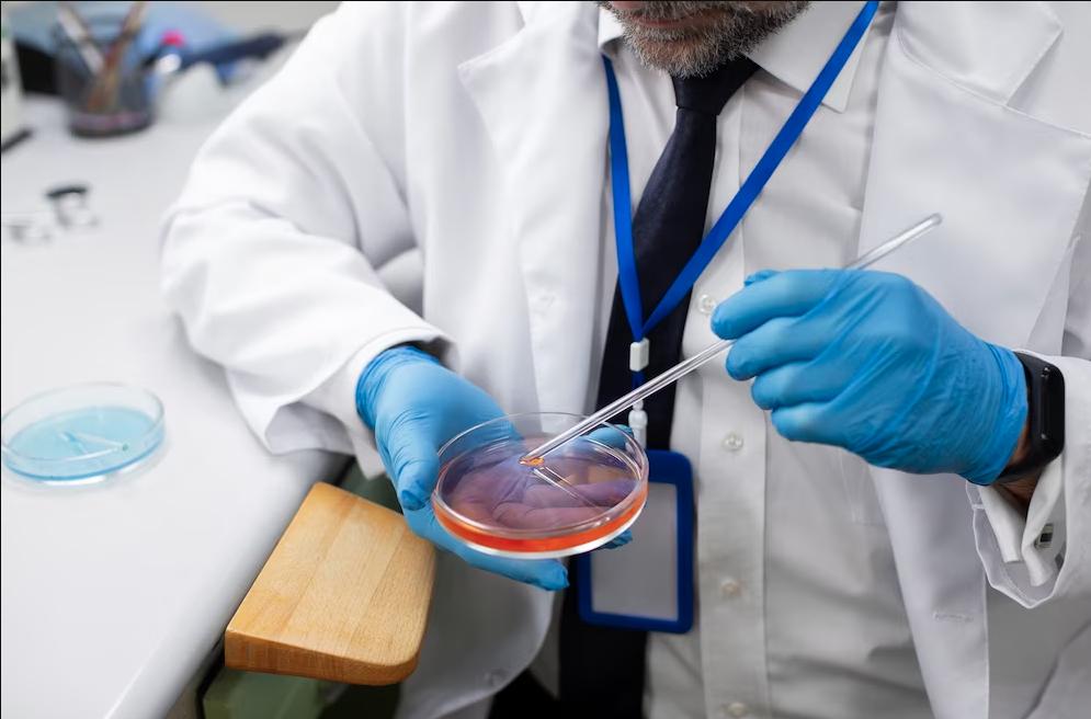 Candida Auris: el hongo que está sembrando el terror por su mortalidad El hongo Candida Auris está generando temor en todo el mundo debido a que se conoció que el microorganismo puede matar a una persona en 90 días.