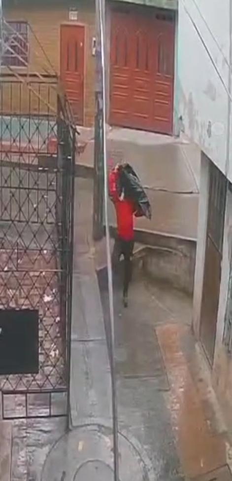 ¡Terrible! Delincuentes robaron una vivienda en el barrio Guacamayas 1 ¡Terrible! Delincuentes robaron una vivienda en el barrio Guacamayas En videos quedó registrado el momento en que delincuentes ingresan a una vivienda en el sector de Guacamayas, en la localidad de San Cristóbal y se llevan objetos de valor.