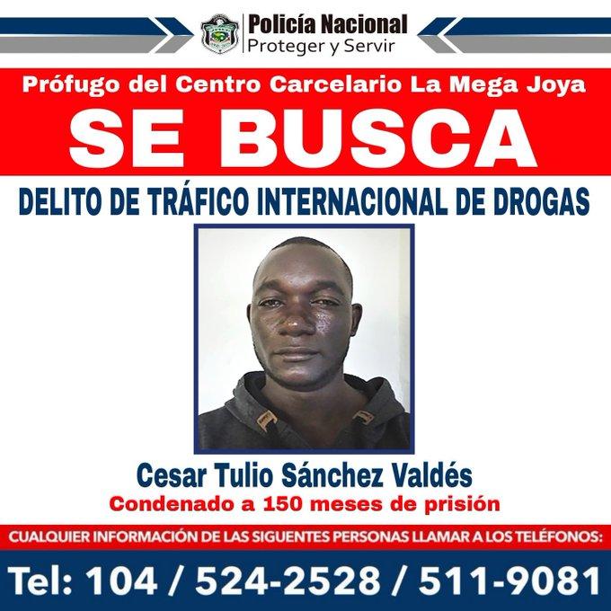 Narco colombiano se fugó de la cárcel: autoridades de Panamá lo buscan El peligroso narco colombiano César Tulio Sánchez Valdés, se fugó del Centro Carcelario La Mega Joya, en el corregimiento de Las Garzas, en Panamá, la madrugada de este martes 28 de marzo.