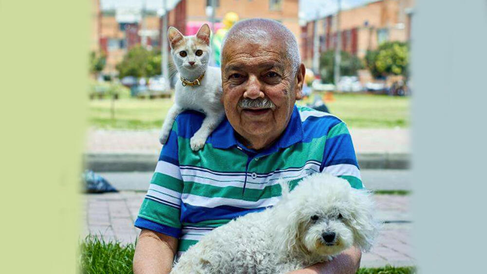 Alístese para las jornadas de adopción de mascotas en Bogotá En lo corrido de este año, se han adoptado a más de 220 animales rescatados por las entidades de bienestar animal. Sin embargo, aunque se han logrado sacar de la calle a todas estas mascotas, actualmente todavía quedan más de 200 caninos y felinos, a la espera de encontrar un hogar.