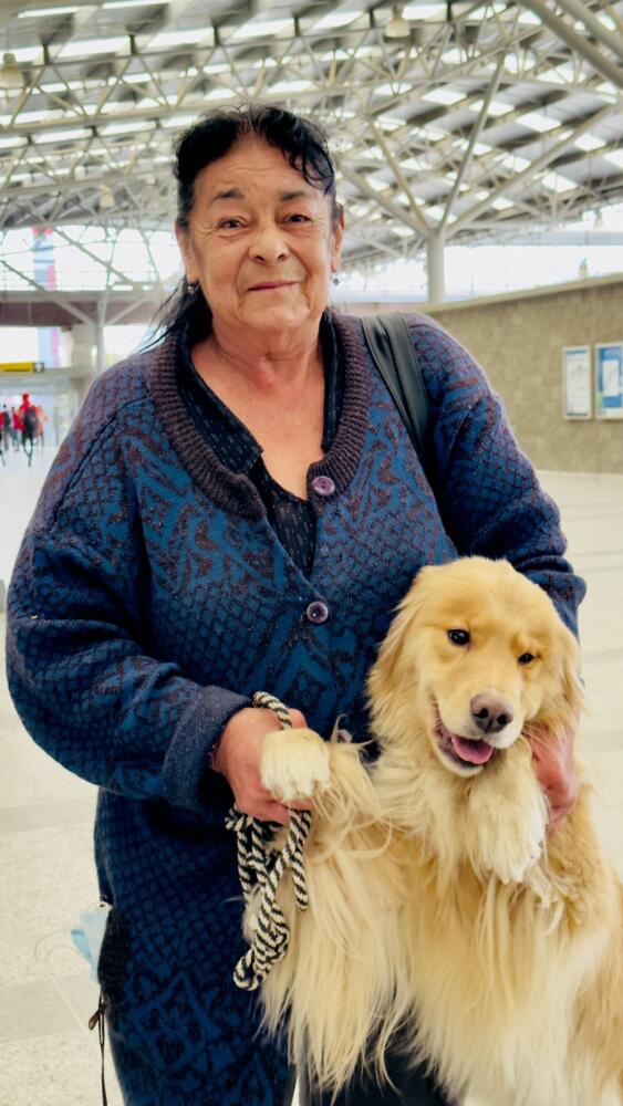 Aparecieron los verdaderos dueños de 'Mara' la perrita encontrada en TransMilenio 1 Aparecieron los verdaderos dueños de 'Mara' la perrita encontrada en TransMilenio El pasado martes 25 de abril, la cuenta oficial de Twitter de TransMilenio publicó un tweet con el que buscaban a los dueños de 'Mara', una perrita golden retriever que llegó sola y bastante desorientada a la estación de San Mateo, la mascota se encontraba bien de salud, sin embargo habían advertido que tenían solo 5 horas para encontrar a sus humanos o tendrían que llevarla a un hogar de paso.