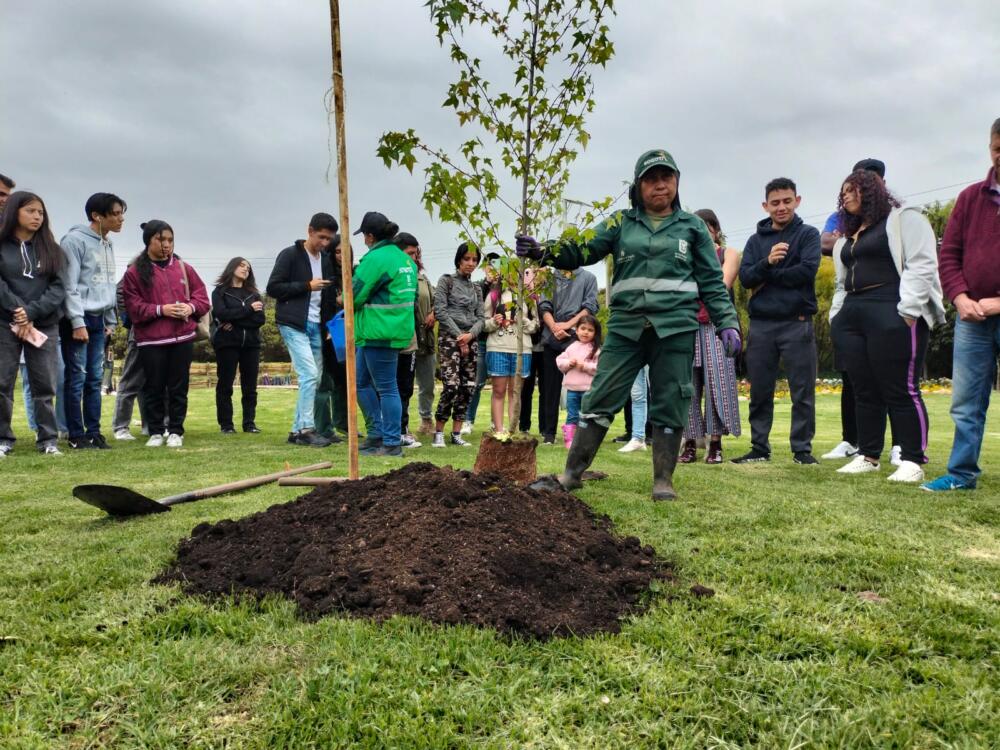 Bogotá plantará más de 2000 árboles para celebrar el día de la tierra 1 Bogotá plantará más de 2000 árboles para celebrar el día de la tierra Con ocasión del Día Internacional de la Tierra (22 de abril) y el Día del Árbol (29 de abril), el Distrito plantará 2.650 nuevos árboles en diferentes puntos de la ciudad, en el marco de varias jornadas que contarán con la participación de funcionarios, comerciantes, líderes ambientales, redes de cuidadores del entorno ambiental y voluntarios