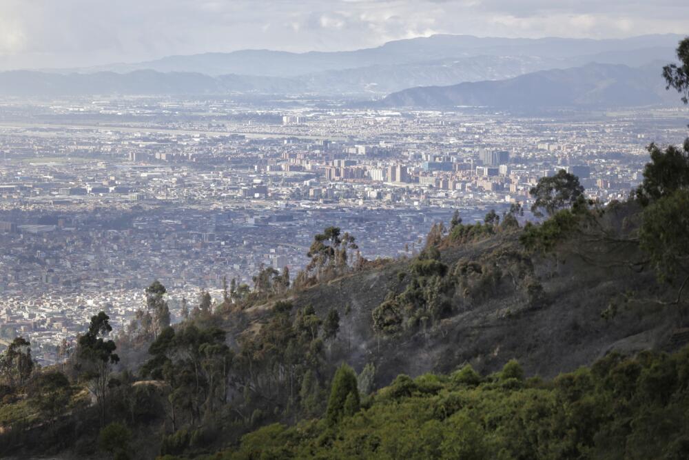 A la cárcel 7 sujetos por quemar árboles en Ciudad Bolívar La Policía Metropolitana de Bogotá, junto a la Alcaldía local de Ciudad Bolívar, informaron que en el sector de Pradera, de esta localidad, siete personas fueron detenidas por estar quemando madera a cielo abierto, hecho que afecta a la flora y la fauna y especies que habitan en el territorio. Entre las personas detenidas se encontraban 2 menores de edad