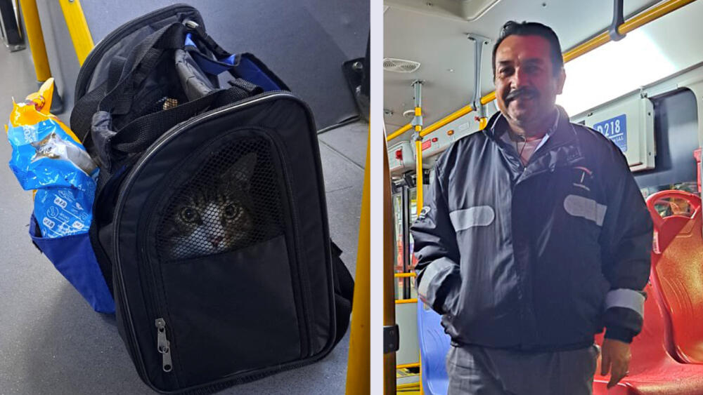 Conductor de TM adoptó a gatico abandonado en articulado La historia de un gatico que fue encontrado al interior de un articulado de TransMilenio este fin de semana le dio la vuelta a internet por redes sociales y despertó muchas emociones entre los bogotanos, pues el felino estaba dentro de una maleta y tenía comida.