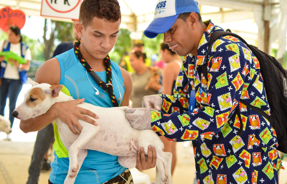 Engativá está lista para adoptar mascotas 1 Engativá está lista para adoptar mascotas La Alcaldía de Bogotá sigue comprometida con la protección animal, por lo que ha programado varias jornadas de adopción a lo largo de toda la ciudad, en esta ocasión, la localidad de Engativá será el punto en el que los bogotanos podrán adoptar una nueva mascota.