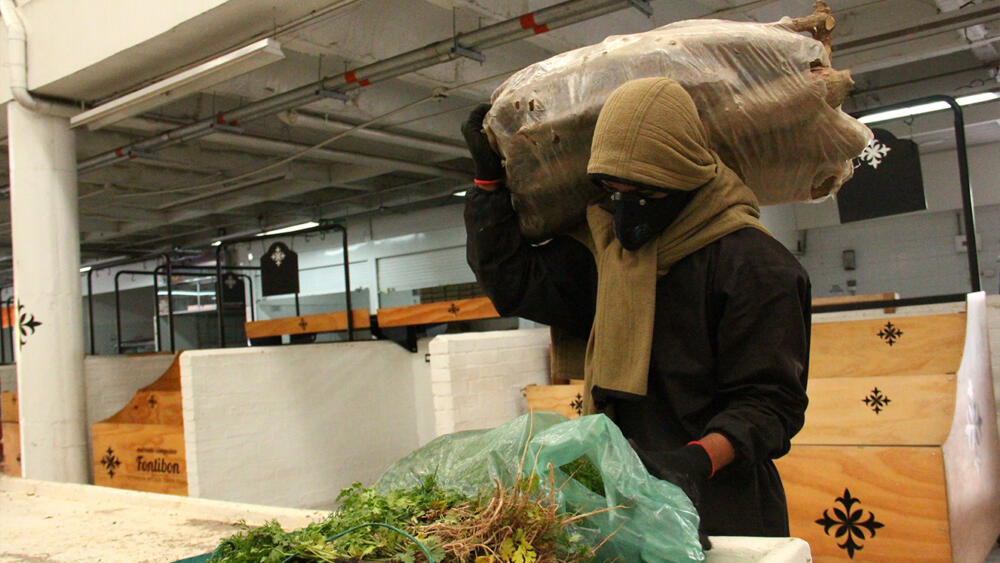 Independientes: en la juega con su salud 3 Independientes: en la juega con su salud Muchas personas tienen un chicharrón en cobros de mora por no realizar el pago oportuno de aportes a seguridad social, ya sea por descuido o creer que no es necesario.
Las cifras son preocupantes, pues de los cerca de 12 millones de independientes se calcula que solo el 2,5 cotizan como debe ser. Sea cual sea el caso, le contamos cómo puede hacer para adelantar los pagos de salud, pensión y, en caso de ser necesario, ARL.