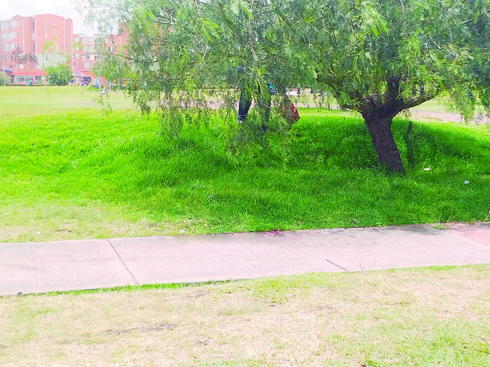 Crimen a bala en un parque de Ciudad Verde, en Soacha 2 Crimen a bala en un parque de Ciudad Verde, en Soacha Un crimen a bala cobró la vida de un joven venezolano de 30 años tras ser impactado en un parque del barrio Ciudad Verde, en Soacha.