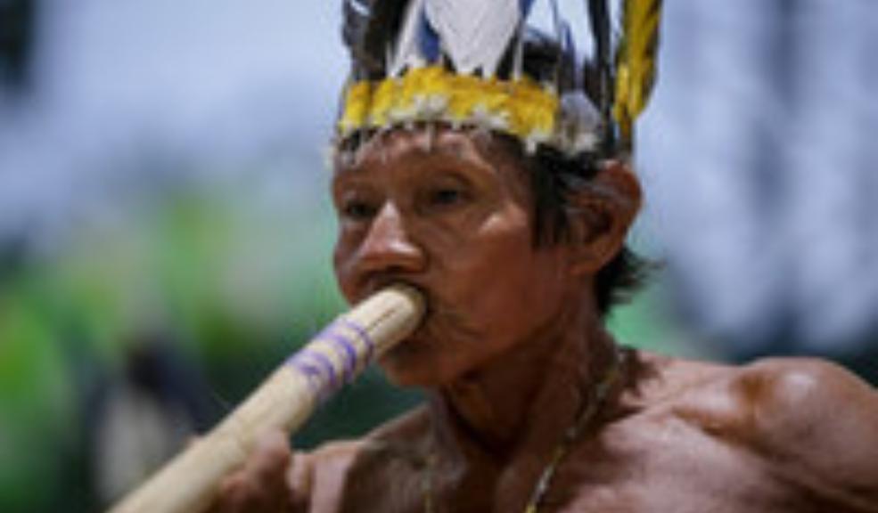 Medicina ancestral será integrada en la Reforma a la Salud Los famosos Yerbateros, sobanderos, culebreros, chamanes, abuelos, y taitas, serían incluidos en la reforma a la salud.