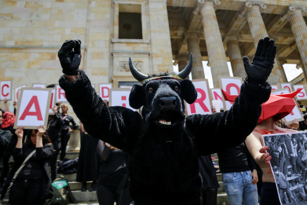 Se cayó el proyecto para prohibir las corridas de toros 1 Se cayó el proyecto para prohibir las corridas de toros El proyecto que buscaba prohibir las corridas de toros y las peleas de gallos, fue hundido en la mañana de este martes, la Comisión V de la Cámara aprobó la ponencia que rechazaba la propuesta, en total fueron 11 votos a favor y 9 en contra.